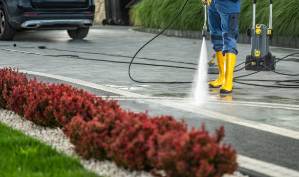 Best Sidewalk and Walkway Cleaning  in Whitesboro, TX